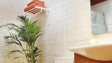 Shower, hair dryer, towels