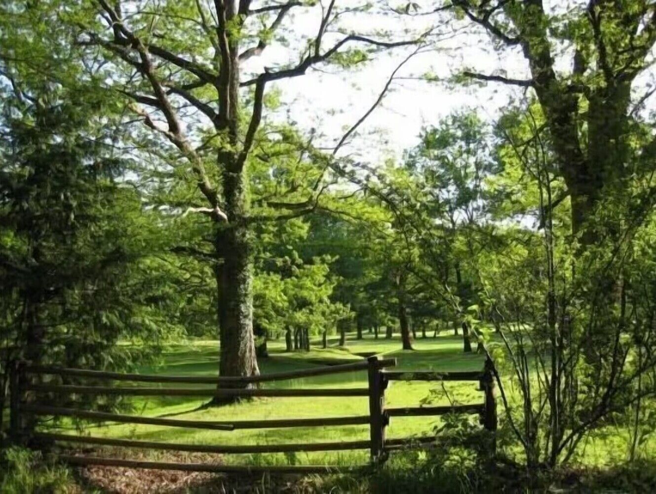 A park with a wooden fence, trees, and a grassy area.
