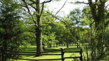 A park with a wooden fence, trees, and a grassy area.