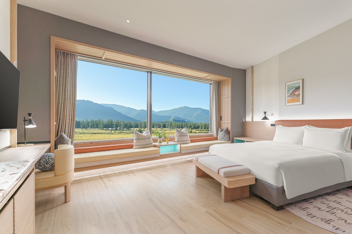 Premium Room, 1 King Bed | Down comforters, minibar, in-room safe, iron/ironing board