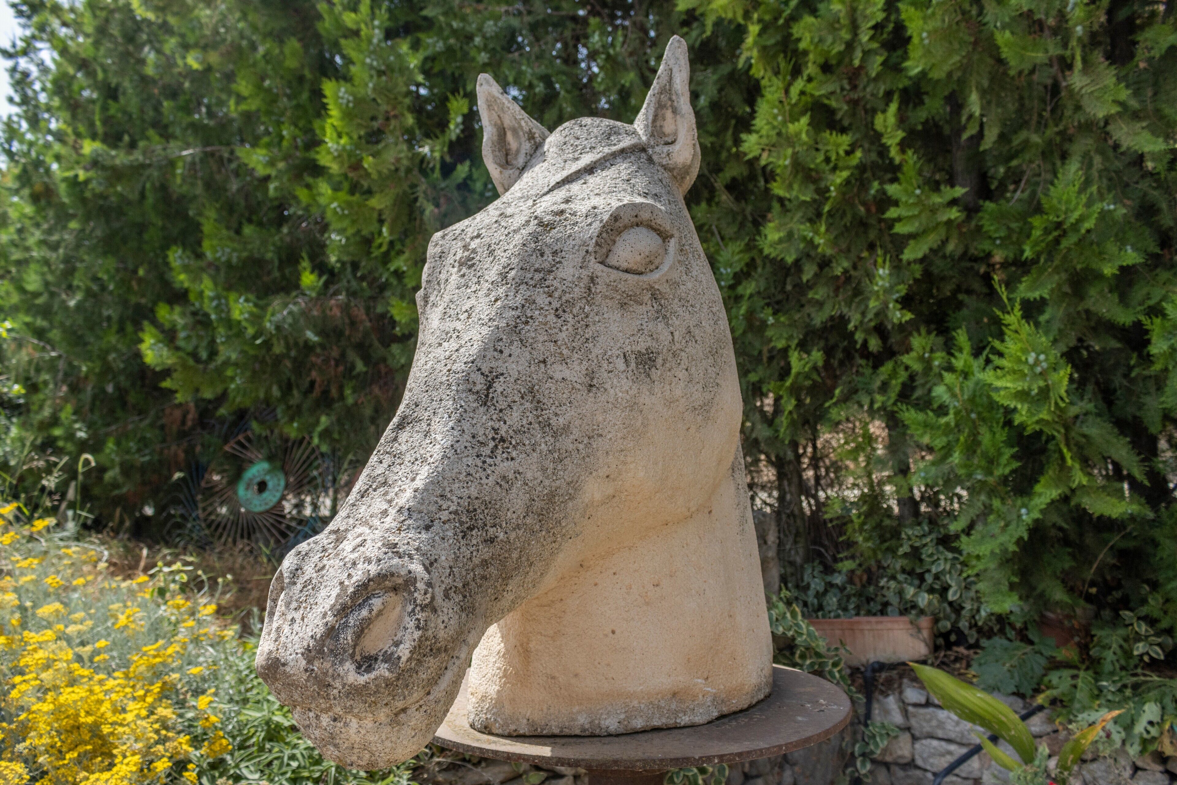 A stone horse head sculpture in a garden with greenery and yellow flowers.