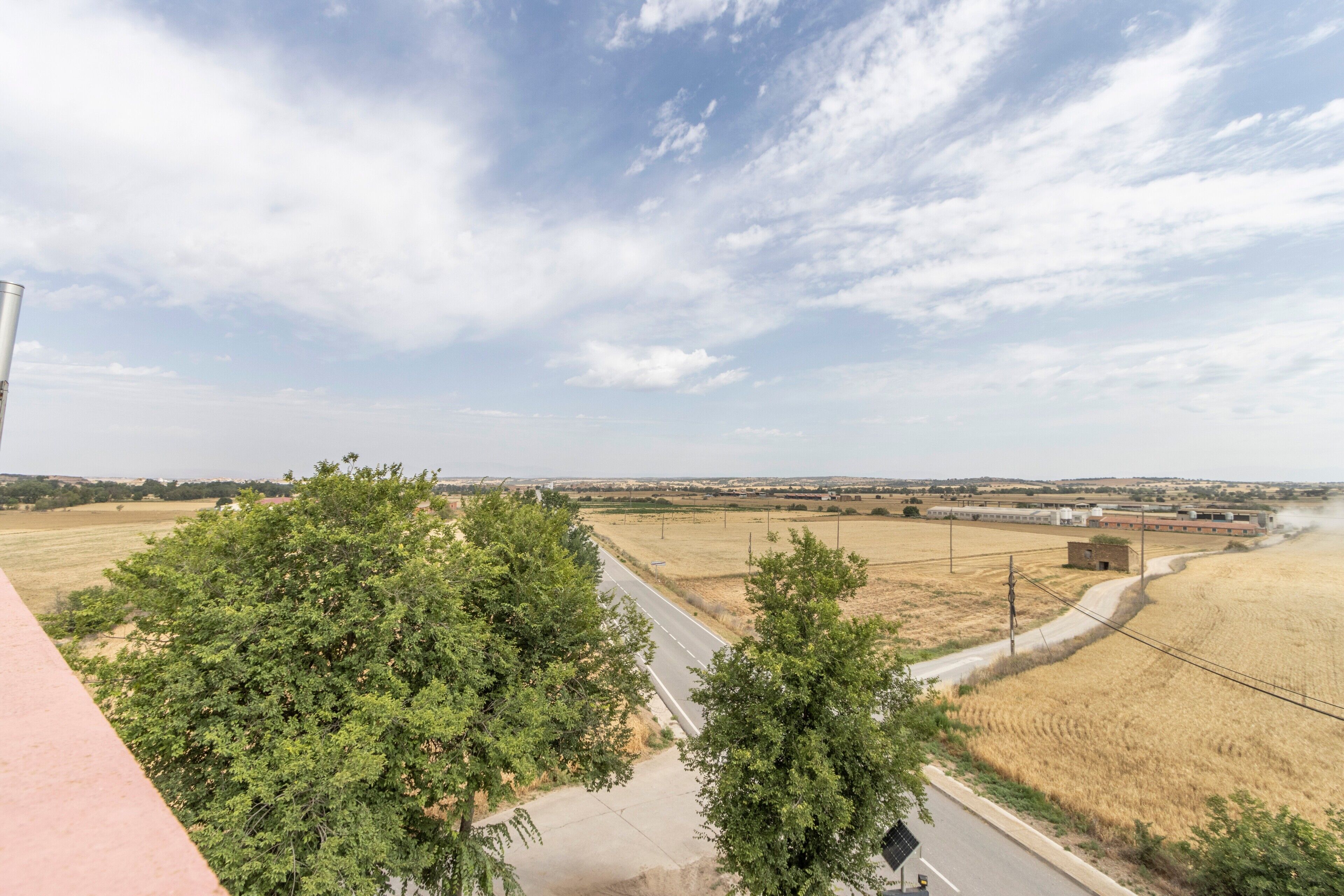 Paisaje rural con camino, campos y árboles.
