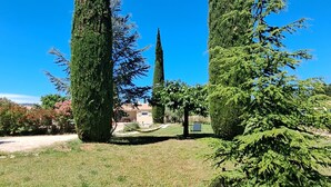 A garden with tall, narrow trees and a clear blue sky. - Domainde des Preyauts, le Mazet (Caromb)
