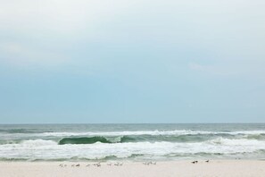Tæt på stranden