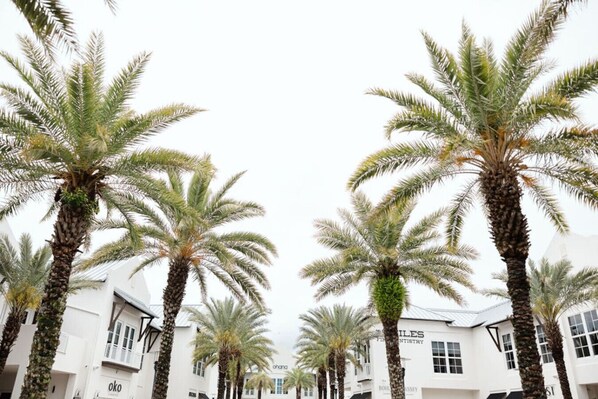 Property grounds - *New*~Short walk to beach+Private Salt Water Pool (Panama City Beach)