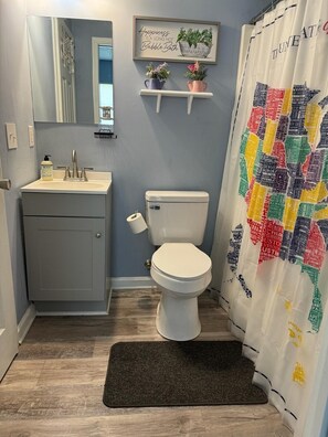 Ein Badezimmer mit grauem Waschtisch, Toilette, einer Duschvorhang mit Städtenamen und einem kleinen Regal mit Pflanzen.
