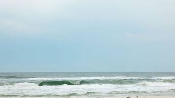 Playa en los alrededores