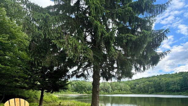 Een houten Adirondack-stoel en een vuurkorf van steen in een natuurlijke omgeving met een grote boom en een meer.