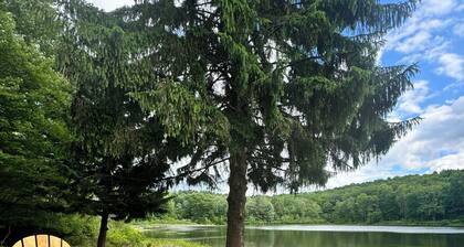 Lakefront Retreat, near All Star Village, in the Catskills