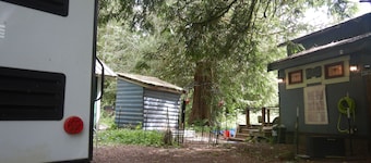 Cozy, Affordable guest accommodations in Verlot, WA - Granite Falls Area Pets OK