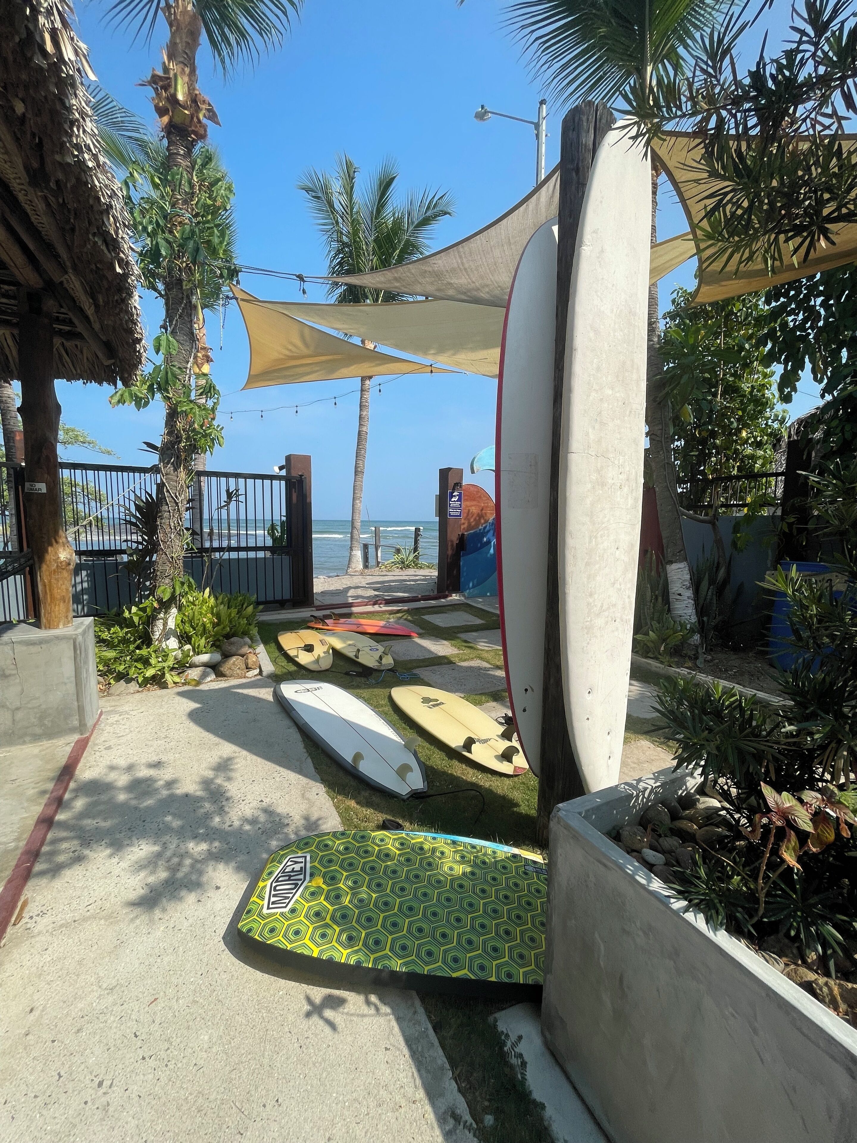A pathway lined with surfboards leading to a beach, palm trees, and a clear view of the ocean.