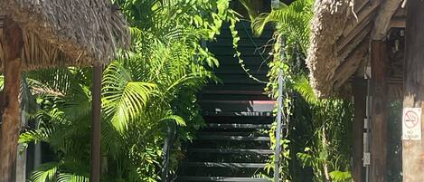 A tropical garden with a staircase leading to a building, surrounded by lush greenery and thatched-roof structures.