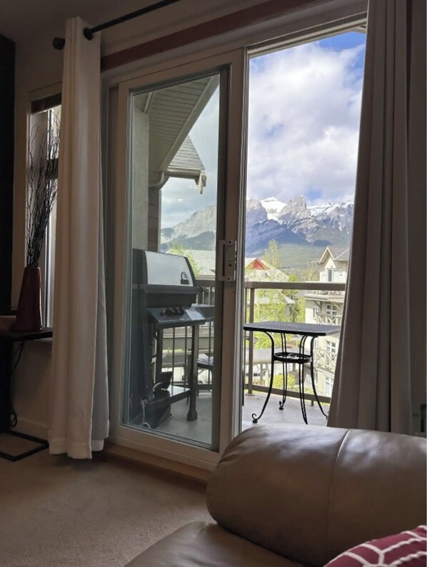 Televisión y chimenea