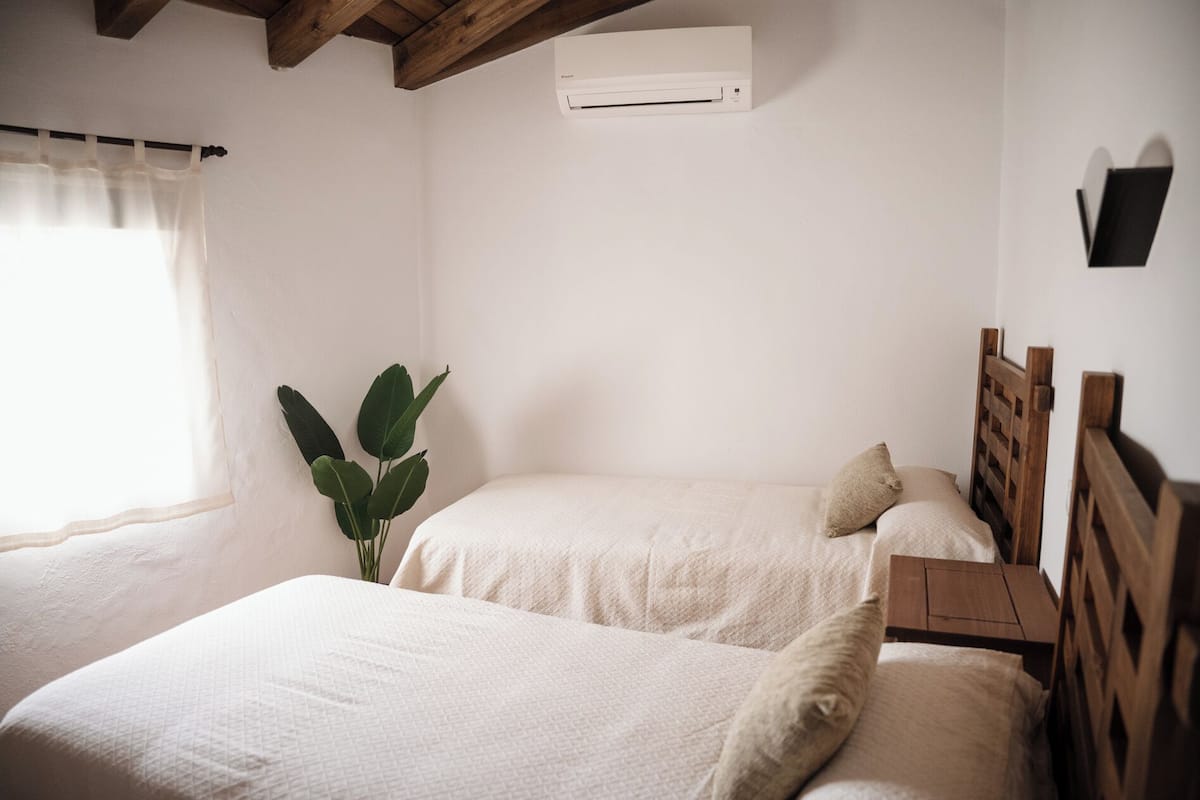 Un dormitorio con dos camas, una planta en maceta y un ventilador de techo.