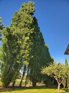 Áreas de la propiedad