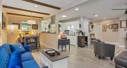 Grapevine House ! New Remodel,TCU close by