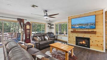 Smart TV, fireplace, books