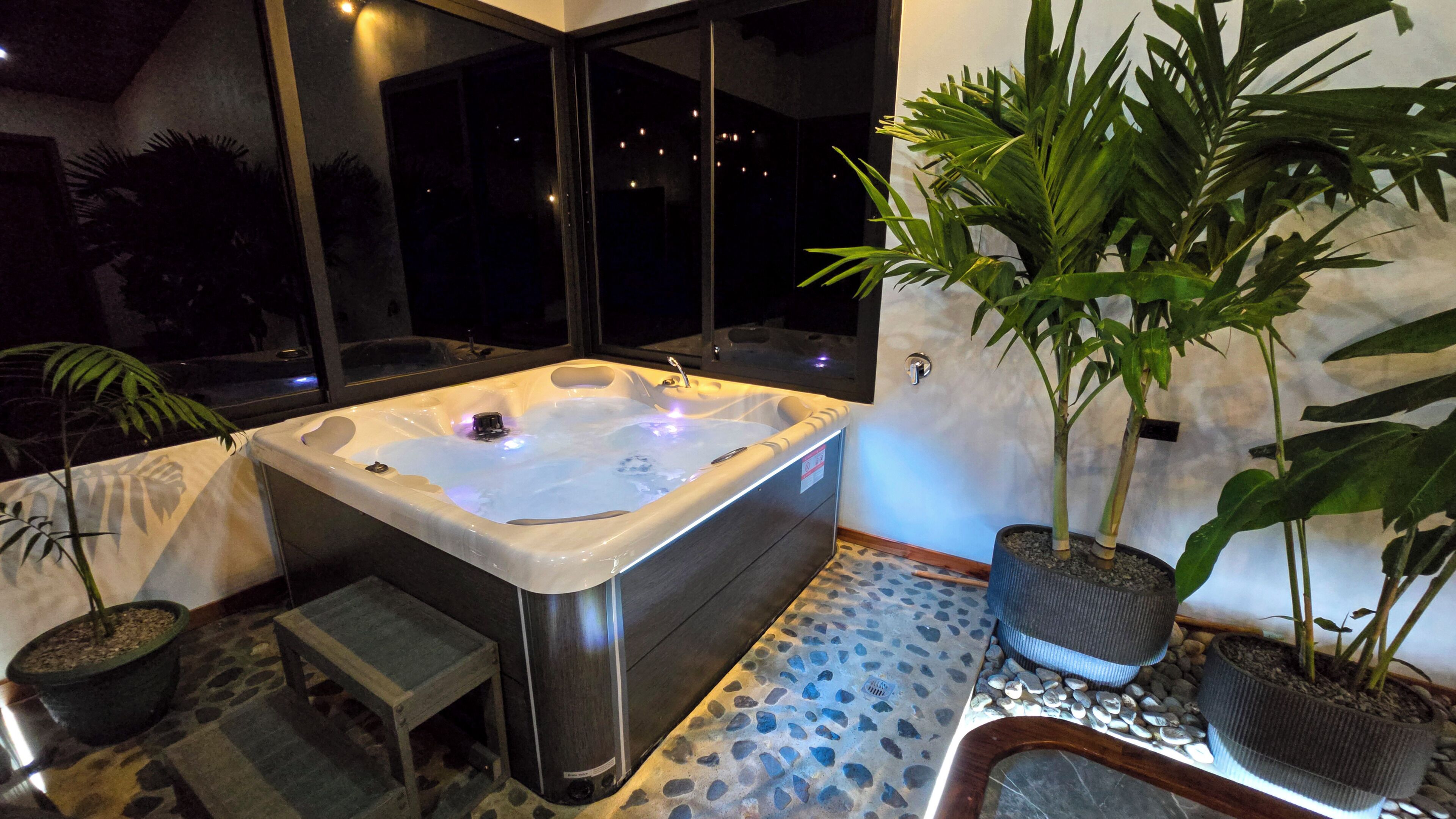 Un jacuzzi con vistas al cielo nocturno a través de amplios ventanales, rodeado de plantas en macetas y un suelo de baldosas de piedra.