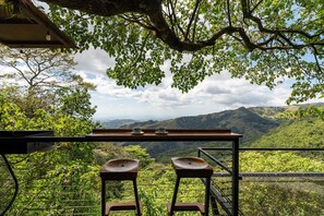 Deluxe Studio, 1 King Bed, Balcony, Mountain View | View from room - Finca Sunset Monteverde (Monteverde)