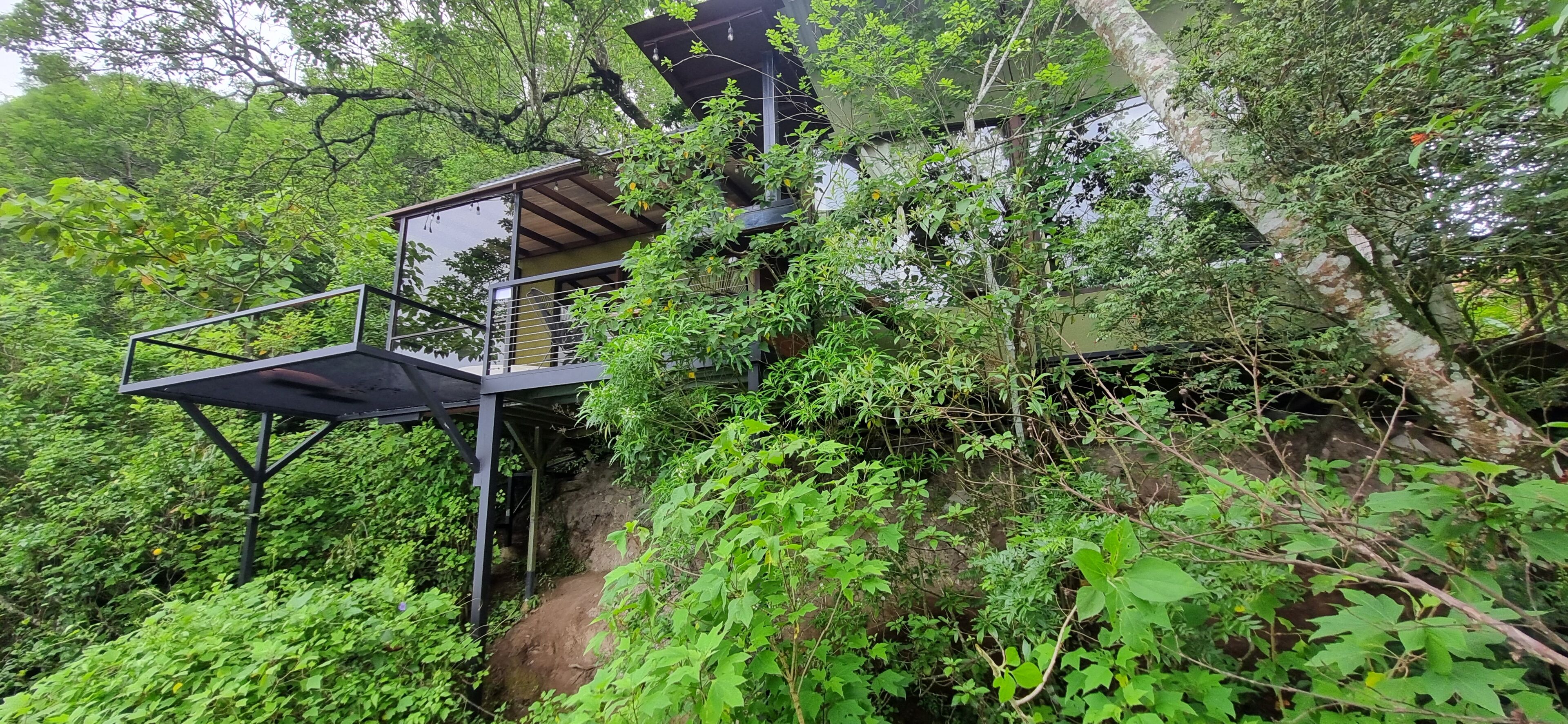 Una casa en el árbol con escalera de metal y estructura de vidrio, rodeada de follaje exuberante.