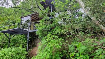Una casa en el árbol con escalera de metal y estructura de vidrio, rodeada de follaje exuberante.