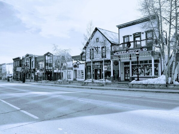 A street view with buildings, including a Wild Flower store.