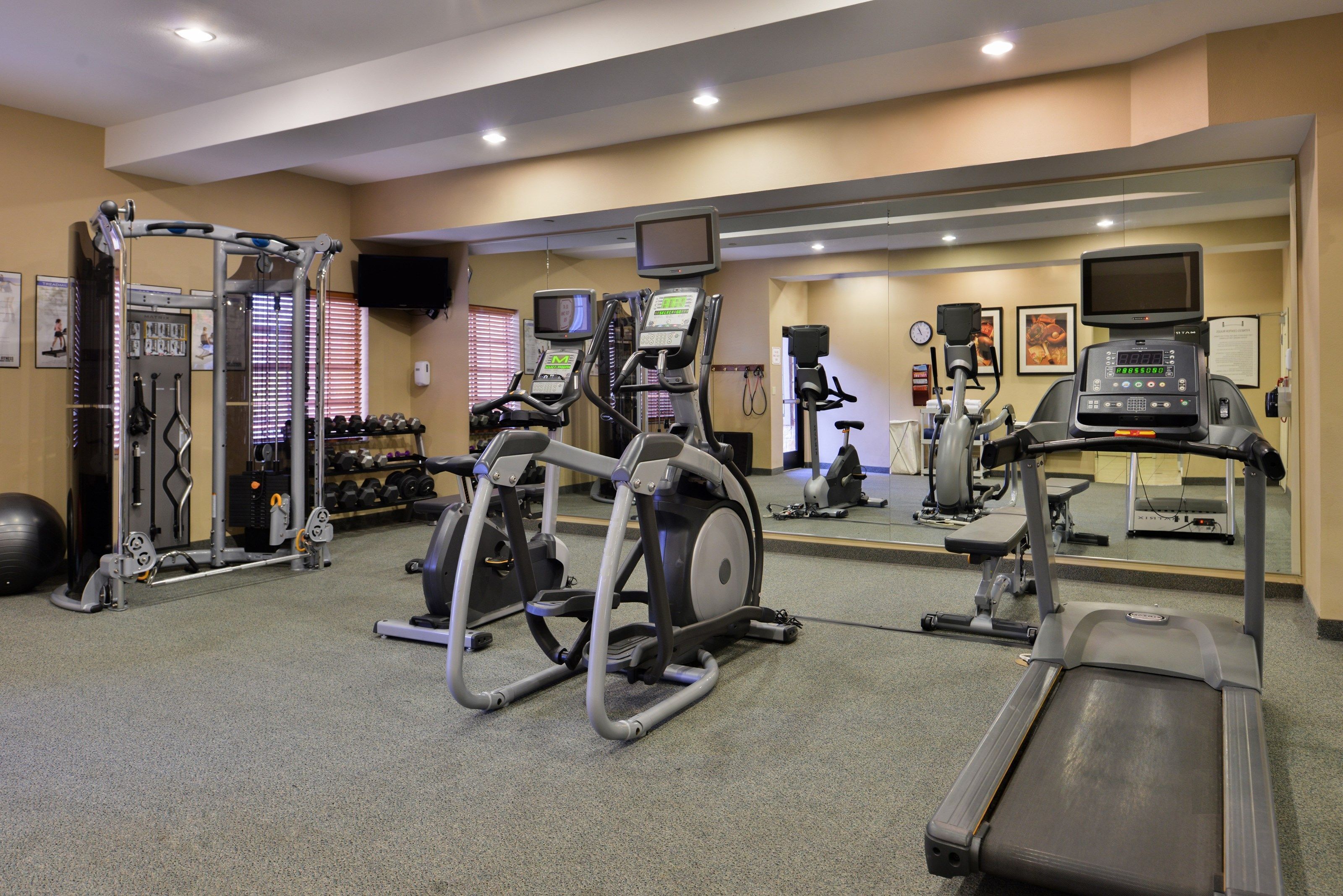 A gym with treadmills, elliptical machines, and weightlifting equipment.