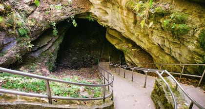 Queen Studio Suite | Free Breakfast, Pool & Gym