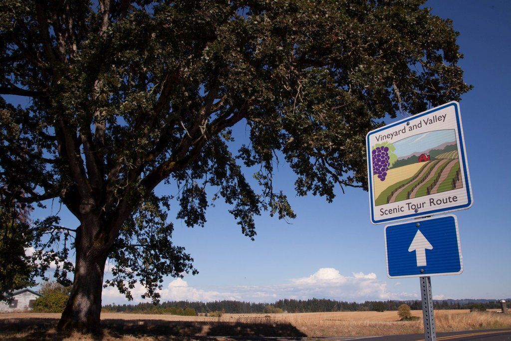 Schild für die Route der Weinberge und Täler mit einem Pfeil.