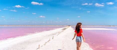 A person walking on a boardwalk with a pink and white beach in the background.