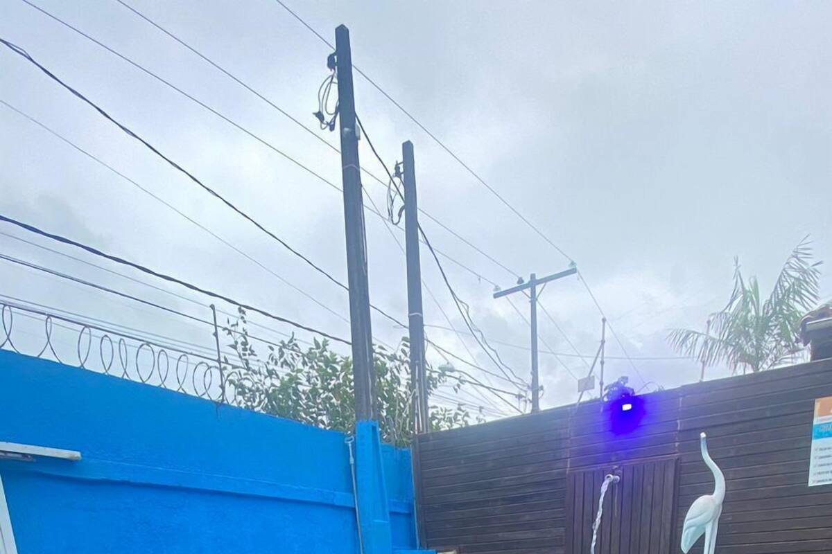 Une piscine avec un mur bleu et une clôture en bois en arrière-plan.