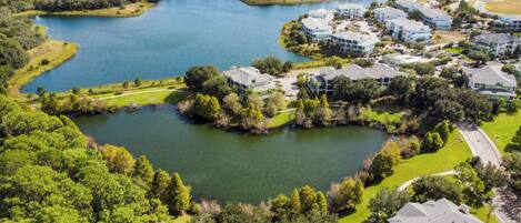 A residential area with a large lake, surrounded by lush greenery and modern houses.