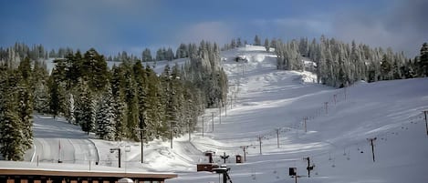 Sneeuw- en skisporten