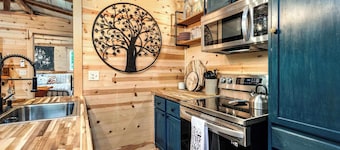 Cozy Cove Cabin The Perfect Ozark Retreat!