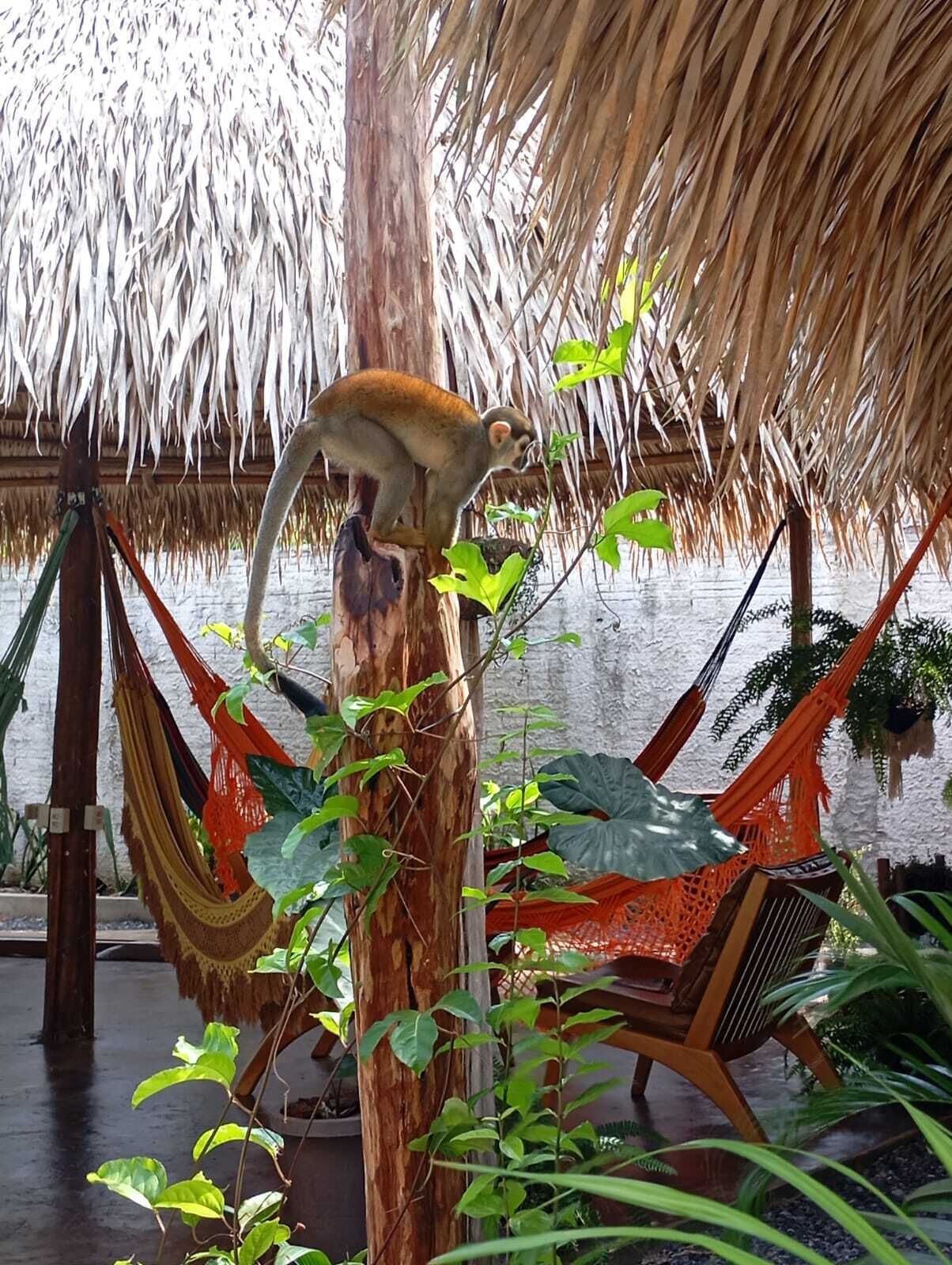 Premium Cabin, 1 Bedroom, Pool View, Poolside | Minibar, individually decorated, individually furnished