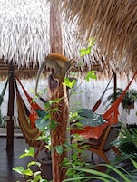 尊荣小屋, 1 间卧室, 泳池景观, 池畔 | 迷你吧、特色装修、特色家居、笔记本电脑工作区