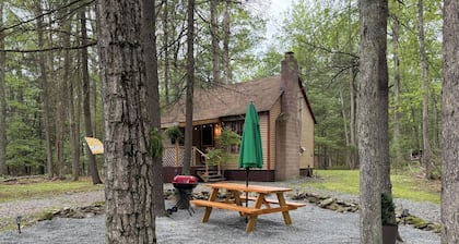 Cozy Cabin in the Woods - Near Lake Wallenpaupack