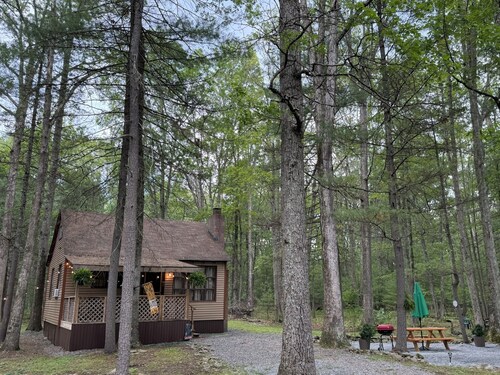 Cozy Cabin in the Woods - Near Lake Wallenpaupack 
