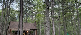 Cozy Cabin in the Woods - Near Lake Wallenpaupack 