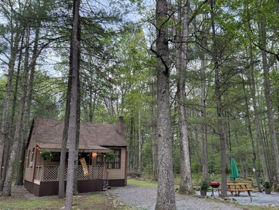 Cozy Cabin in the Woods - Near Lake Wallenpaupack 