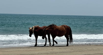 Wild Horses, Wilder Views: Stunning Carova Canal Front Home