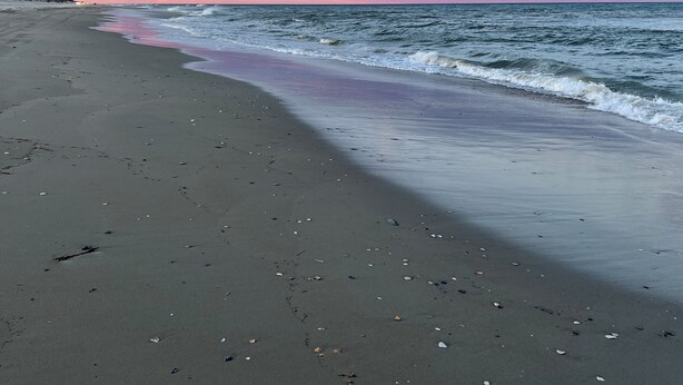 A beach with a wide sandy shore and gentle waves.