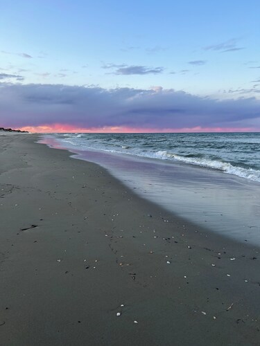 Wild Horses, Wilder Views: Stunning Carova Canal Front Home 