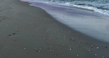 Wild Horses, Wilder Views: Stunning Carova Canal Front Home