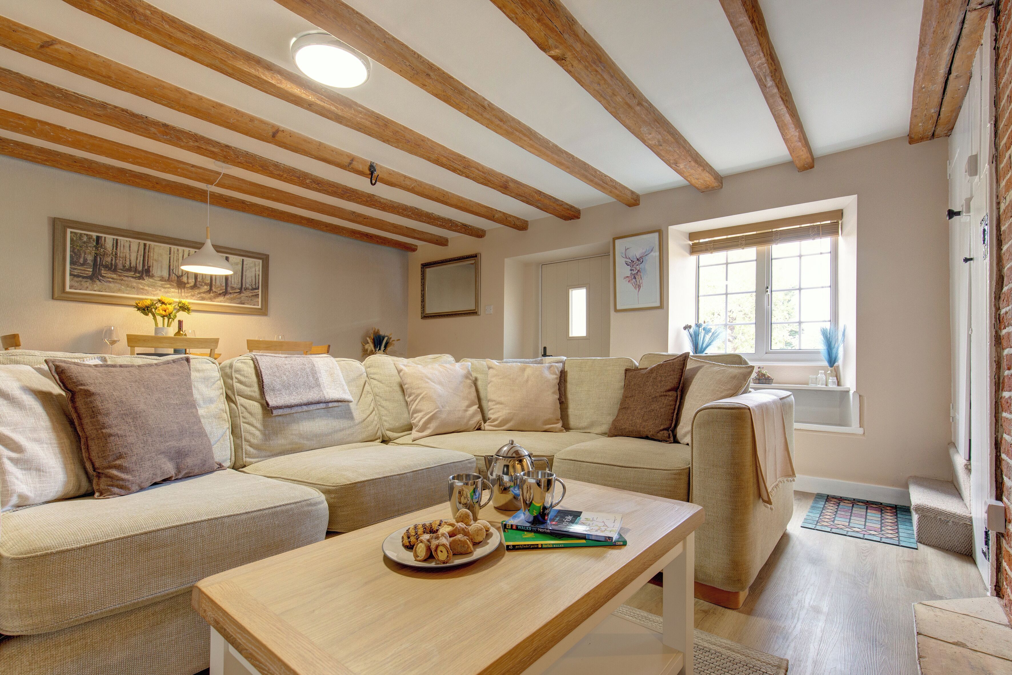 Älytelevisio, takka, DVD-soitin, kirjoja