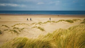 Una playa con dunas de arena y una vista despejada del océano.