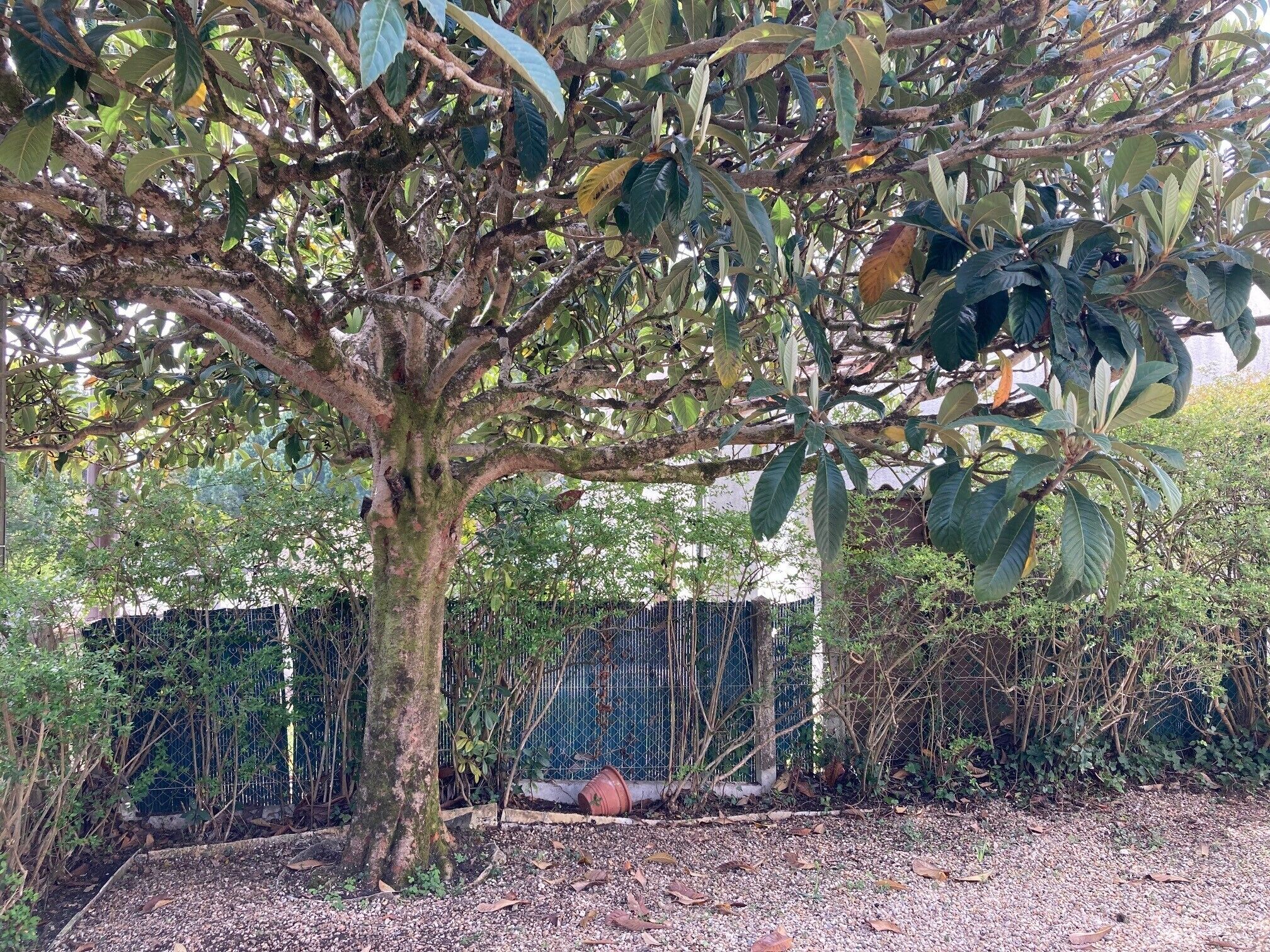 Área da propriedade
