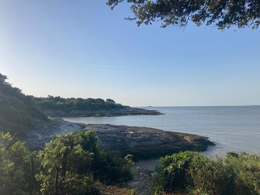 A coastal landscape with rocky terrain and vegetation.