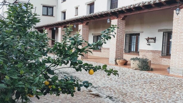 Un patio con suelo de adoquines, un edificio con varias ventanas y un limonero.