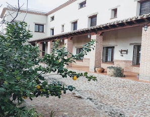 Un patio con suelo de adoquines, un edificio con varias ventanas y un limonero.